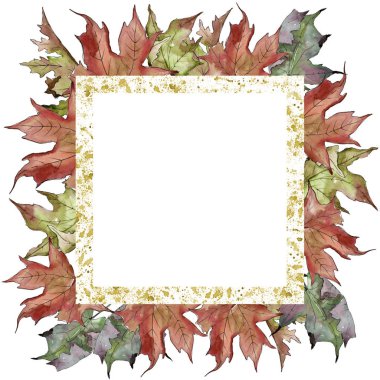 Sulu boya yeşil ve kırmızı akçaağaç yaprakları. Yaprak bitki botanik bahçe çiçek yaprakları. Çerçeve kenarlığı süsleme Meydanı. Aquarelle yaprak için arka plan, doku, sarıcı desen, çerçeve veya kenarlık.