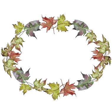 Sulu boya yeşil ve kırmızı akçaağaç yaprakları. Yaprak bitki botanik bahçe çiçek yaprakları. Çerçeve kenarlığı süsleme Meydanı. Aquarelle yaprak için arka plan, doku, sarıcı desen, çerçeve veya kenarlık.