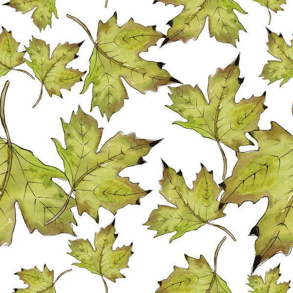 Watercolor Green Red Maple Leaves Leaf Plant Botanical Garden Floral — Stock Photo, Image