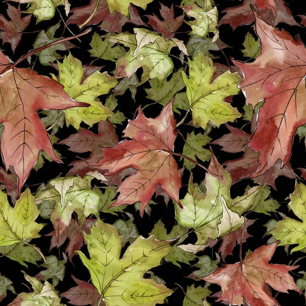 Watercolor Green Red Maple Leaves Leaf Plant Botanical Garden Floral — Stock Photo, Image