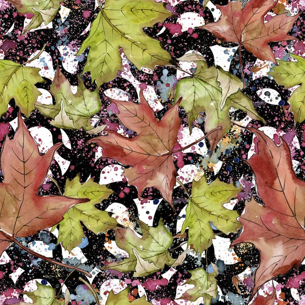 Watercolor Green Red Maple Leaves Leaf Plant Botanical Garden Floral — Stock Photo, Image