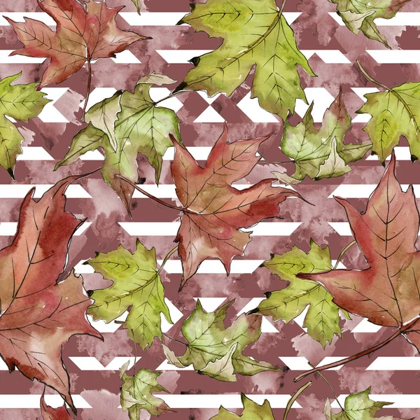 Watercolor Green Red Maple Leaves Leaf Plant Botanical Garden Floral — Stock Photo, Image