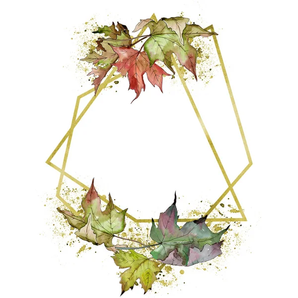 Watercolor green and red maple leaves. Leaf plant botanical garden floral foliage. Isolated illustration element. Aquarelle leaf for background, texture, wrapper pattern, frame or border.