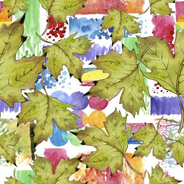 Sulu boya yeşil ve kırmızı akçaağaç yaprakları. Yaprak bitki botanik bahçe çiçek yaprakları. Sorunsuz arka plan deseni.