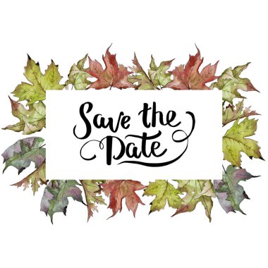 Sulu boya yeşil ve kırmızı akçaağaç yaprakları. Yaprak bitki botanik bahçe çiçek yaprakları. Çerçeve kenarlığı süsleme Meydanı.