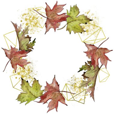 Sulu boya yeşil ve kırmızı akçaağaç yaprakları. Yaprak bitki botanik bahçe çiçek yaprakları. Çerçeve kenarlığı süsleme Meydanı.