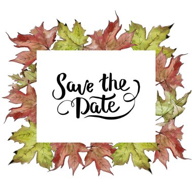 Sulu boya yeşil ve kırmızı akçaağaç yaprakları. Yaprak bitki botanik bahçe çiçek yaprakları. Çerçeve kenarlığı süsleme Meydanı.