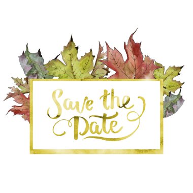 Sulu boya yeşil ve kırmızı akçaağaç yaprakları. Yaprak bitki botanik bahçe çiçek yaprakları. Çerçeve kenarlığı süsleme Meydanı.