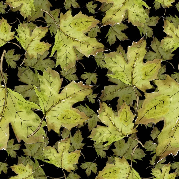 Aquarela folhas de bordo verde e vermelho. Folha planta botânica jardim folhagem floral. Padrão de fundo sem costura . — Fotografia de Stock