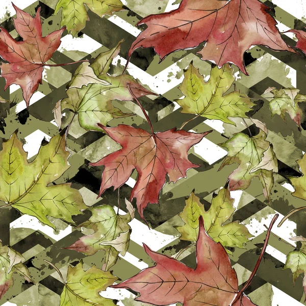 Watercolor Green Red Maple Leaves Leaf Plant Botanical Garden Floral — Stock Photo, Image