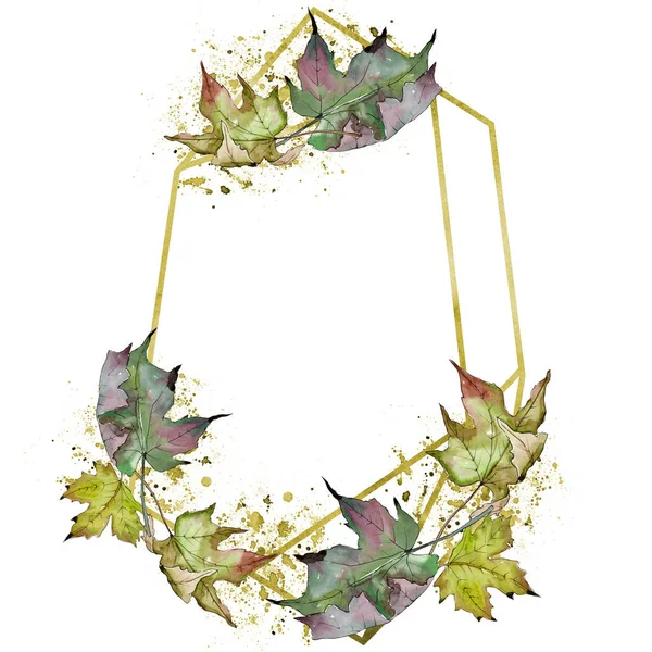 Watercolor green and red maple leaves. Leaf plant botanical garden floral foliage. Isolated illustration element. — Stock Photo, Image