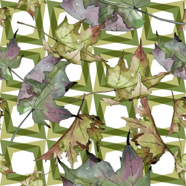 Sulu boya yeşil ve kırmızı akçaağaç yaprakları. Yaprak bitki botanik bahçe çiçek yaprakları. Sorunsuz arka plan deseni. Kumaş duvar kağıdı yazdırma doku. Aquarelle yaprak için arka plan, doku, sarıcı desen.