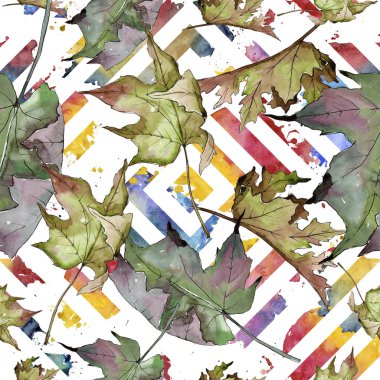 Sulu boya yeşil ve kırmızı akçaağaç yaprakları. Yaprak bitki botanik bahçe çiçek yaprakları. Sorunsuz arka plan deseni. Kumaş duvar kağıdı yazdırma doku. Aquarelle yaprak için arka plan, doku, sarıcı desen.