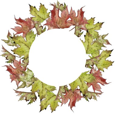 Sulu boya yeşil ve kırmızı akçaağaç yaprakları. Yaprak bitki botanik bahçe çiçek yaprakları. Çerçeve kenarlığı süsleme Meydanı. Aquarelle yaprak için arka plan, doku, sarıcı desen, çerçeve veya kenarlık.