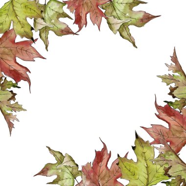 Sulu boya yeşil ve kırmızı akçaağaç yaprakları. Yaprak bitki botanik bahçe çiçek yaprakları. Çerçeve kenarlığı süsleme Meydanı. Aquarelle yaprak için arka plan, doku, sarıcı desen, çerçeve veya kenarlık.
