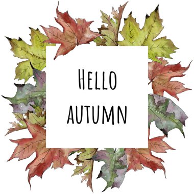 Sulu boya yeşil ve kırmızı akçaağaç yaprakları. Yaprak bitki botanik bahçe çiçek yaprakları. Çerçeve kenarlığı süsleme Meydanı. Aquarelle yaprak için arka plan, doku, sarıcı desen, çerçeve veya kenarlık.