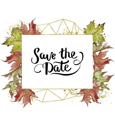 Sulu boya yeşil ve kırmızı akçaağaç yaprakları. Yaprak bitki botanik bahçe çiçek yaprakları. Çerçeve kenarlığı süsleme Meydanı. Aquarelle yaprak için arka plan, doku, sarıcı desen, çerçeve veya kenarlık.