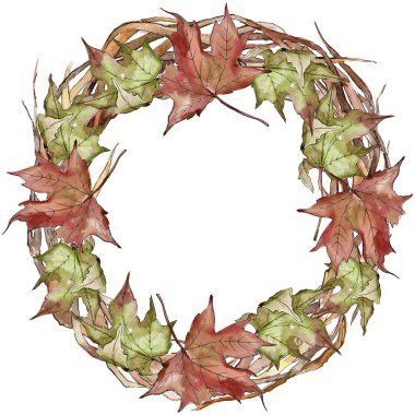 Sulu boya yeşil ve kırmızı akçaağaç yaprakları. Yaprak bitki botanik bahçe çiçek yaprakları. Çerçeve kenarlığı süsleme Meydanı. Aquarelle yaprak için arka plan, doku, sarıcı desen, çerçeve veya kenarlık.