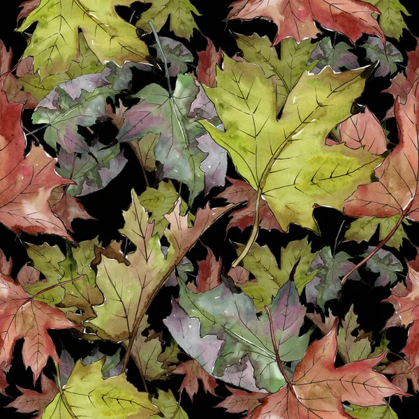 Akvarelu Zelené Červené Javorové Listy Listy Rostlin Botanická Zahrada Květinové — Stock fotografie