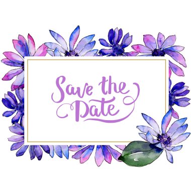 Suluboya mor güller. Botanik çiçek. Çerçeve kenarlığı süsleme Meydanı. Arka plan, doku, sarıcı desen, çerçeve veya kenarlık için Aquarelle kır çiçeği.