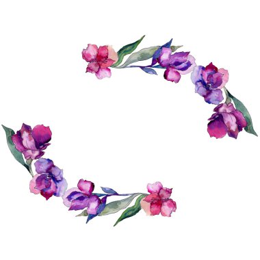 Sulu boya renkli alstroemeria çiçek. Botanik çiçek. Çerçeve kenarlığı süsleme Meydanı. Arka plan, doku, sarıcı desen, çerçeve veya kenarlık için Aquarelle kır çiçeği.