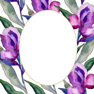 Sulu boya renkli alstroemeria çiçek. Botanik çiçek. Çerçeve kenarlığı süsleme Meydanı. Arka plan, doku, sarıcı desen, çerçeve veya kenarlık için Aquarelle kır çiçeği.