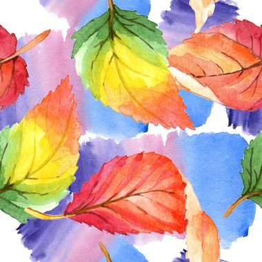 Renkli sonbahar yaprakları suluboya tarzında. Sorunsuz arka plan deseni. Kumaş duvar kağıdı yazdırma doku. Aquarelle yaprak için arka plan, doku, sarıcı desen, çerçeve veya kenarlık.