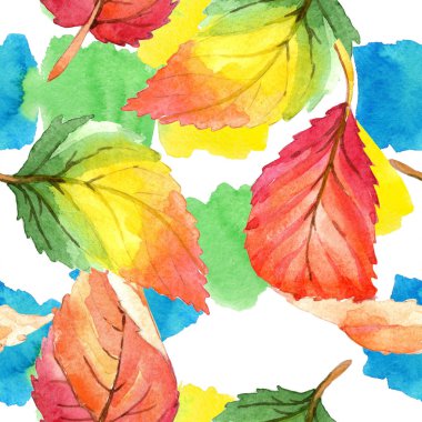 Renkli sonbahar yaprakları suluboya tarzında. Sorunsuz arka plan deseni. Kumaş duvar kağıdı yazdırma doku. Aquarelle yaprak için arka plan, doku, sarıcı desen, çerçeve veya kenarlık.