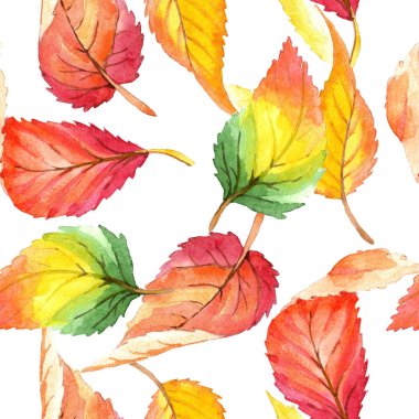 Renkli sonbahar yaprakları suluboya tarzında. Sorunsuz arka plan deseni. Kumaş duvar kağıdı yazdırma doku. Aquarelle yaprak için arka plan, doku, sarıcı desen, çerçeve veya kenarlık.