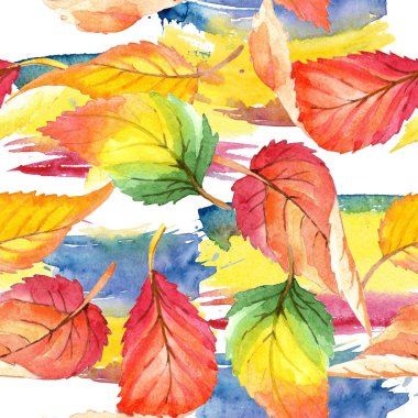 Renkli sonbahar yaprakları suluboya tarzında. Sorunsuz arka plan deseni. Kumaş duvar kağıdı yazdırma doku. Aquarelle yaprak için arka plan, doku, sarıcı desen, çerçeve veya kenarlık.