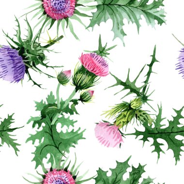 Sulu boya pembe ve mor thistle kır çiçeği. Botanik çiçek. Sorunsuz arka plan deseni. Kumaş duvar kağıdı yazdırma doku. Arka plan, doku, sarıcı desen Aquarelle kır çiçeği.