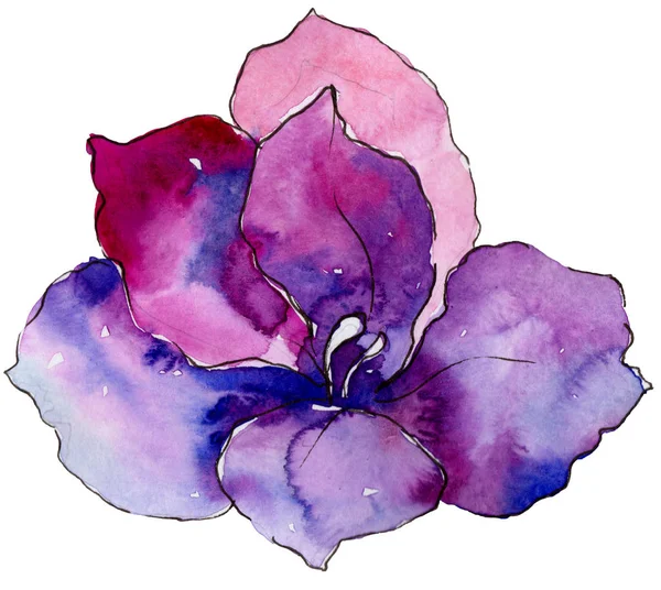 Květinový Akvarel Barevné Kosatců Květinové Botanické Květin Izolované Ilustrace Prvek — Stock fotografie