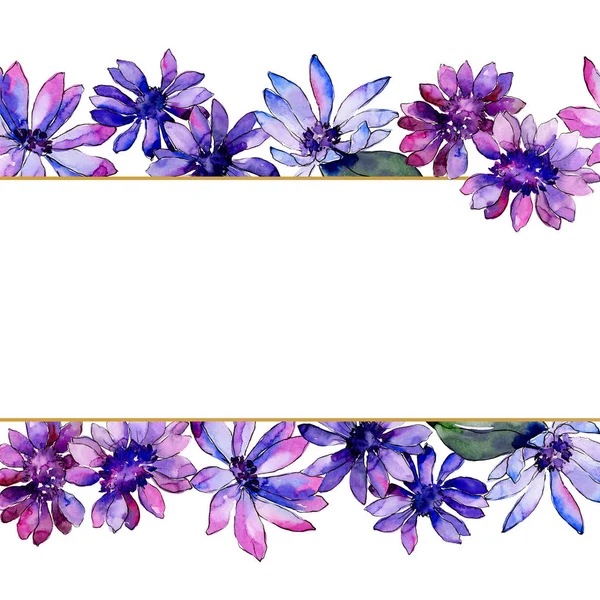 水彩紫アフリカ デイジー 花植物の花 フレーム枠飾りスクエア テクスチャ ラッパー パターン フレームや境界線の Aquarelle ワイルドフラワー — ストック写真