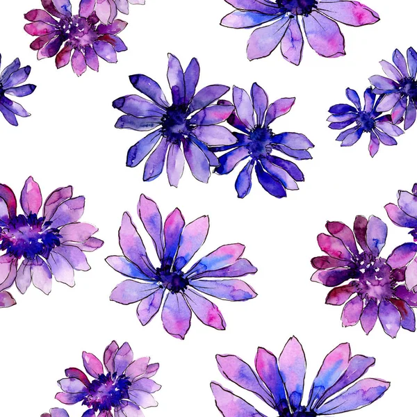 Aquarelle Marguerite Africaine Violette Fleur Botanique Florale Modèle Fond Sans — Photo