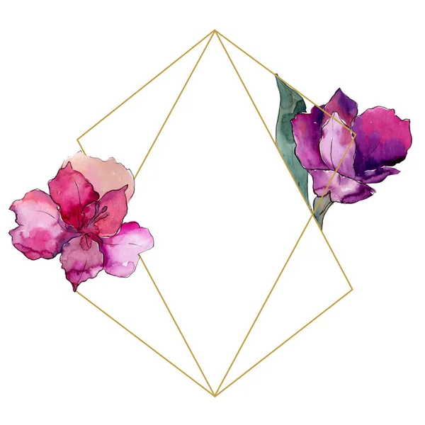 Acquerello Colorato Fiore Alstroemeria Fiore Botanico Floreale Quadrato Ornamento Bordo — Foto Stock