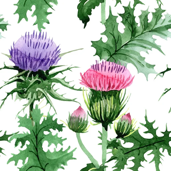 Watercolor pink and purple thistle wildflower. Floral botanical flower. Seamless background pattern. Fabric wallpaper print texture. Aquarelle wildflower for background, texture, wrapper pattern.