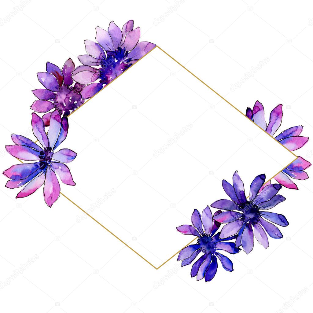 Watercolor purple african daisy. Floral botanical flower. Frame border ornament square. Aquarelle wildflower for background, texture, wrapper pattern, frame or border.