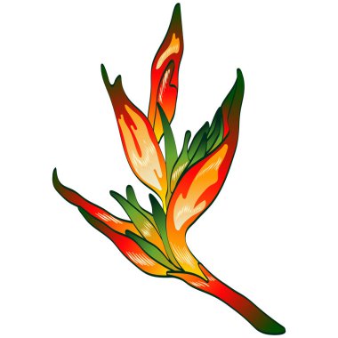 Tropikal yeşil izole bir vektör tarzda bırakır. Arka plan, doku, sarıcı desen, çerçeve veya sınır vektör yaprak.