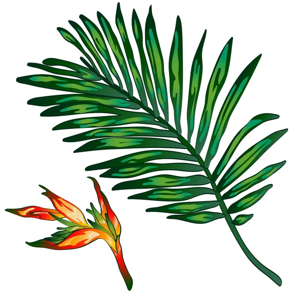Tropická Zelené Listy Stylu Vektor Samostatný Vektor List Pro Pozadí — Stockový vektor