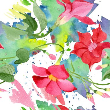 Suluboya kırmızı dipladies çiçek. Botanik çiçek. Sorunsuz arka plan deseni.