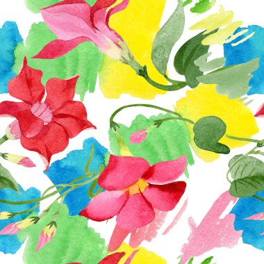 Suluboya kırmızı dipladies çiçek. Botanik çiçek. Sorunsuz arka plan deseni.