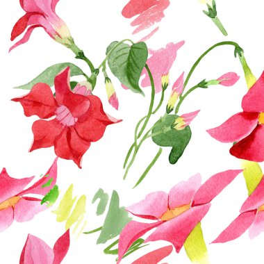 Suluboya kırmızı dipladies çiçek. Botanik çiçek. Sorunsuz arka plan deseni.