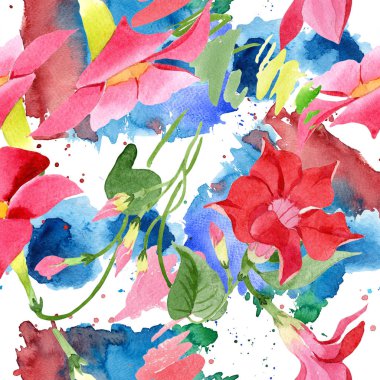 Suluboya kırmızı dipladies çiçek. Botanik çiçek. Sorunsuz arka plan deseni.