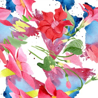 Suluboya kırmızı dipladies çiçek. Botanik çiçek. Sorunsuz arka plan deseni.