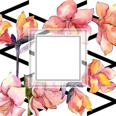 Sulu boya turuncu amaryllis çiçek. Çerçeve kenarlığı süsleme Meydanı.