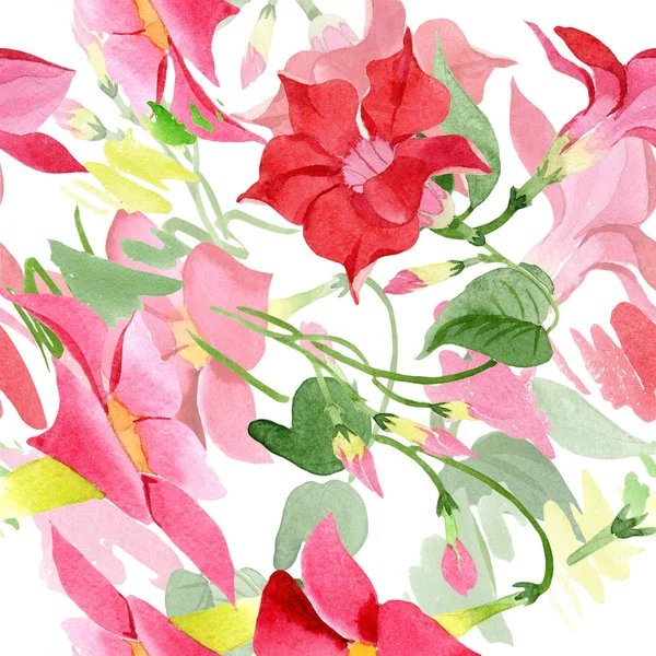 Acquerello dipladies rosso fiore. Fiore botanico floreale. Modello di sfondo senza soluzione di continuità . — Foto Stock