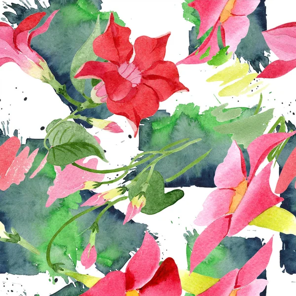 水彩红 dipladies 花。花卉植物花。无缝背景图案. — 图库照片