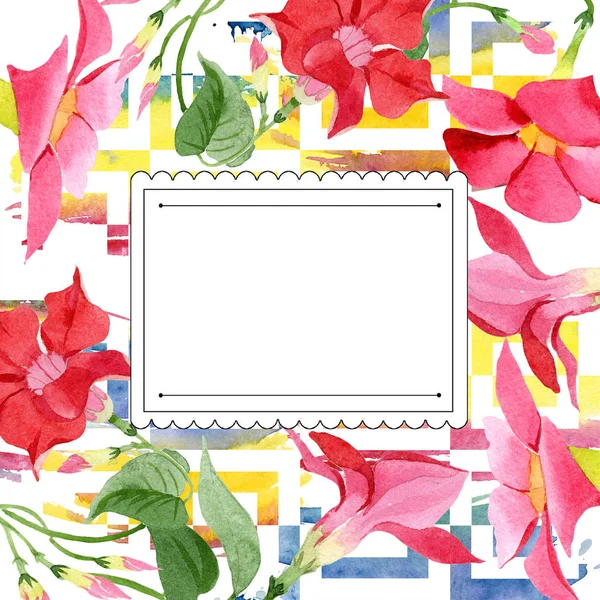 Aquarel rode dipladies bloem. Floral botanische bloem. Frame grens ornament vierkant. — Stockfoto