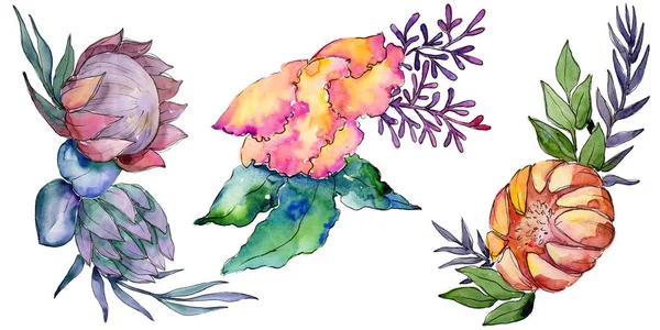 Fleurs de bouquet coloré aquarelle. Fleur botanique florale. Élément d'illustration isolé . — Photo