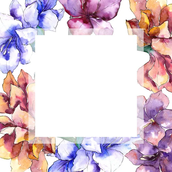 Watercolor purple amaryllis flower. Frame border ornament square. — Stock Photo, Image